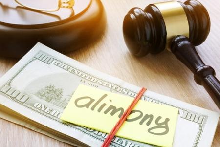 Novi alimony enforcement lawyer